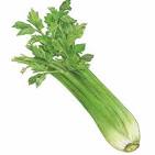 Celery, Naked - 24ct