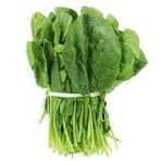 Spinach Bunch - 24ct