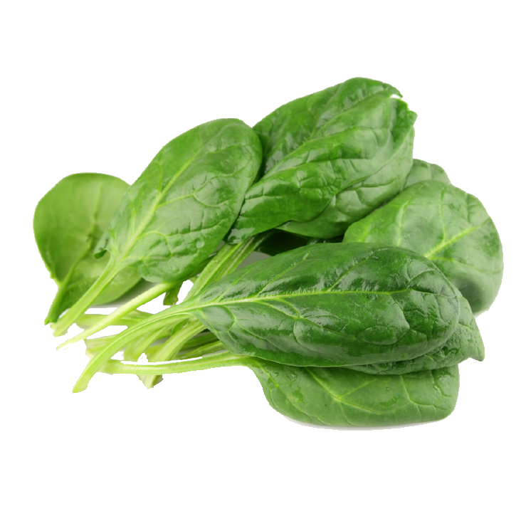 Spinach Bunch - 24ct